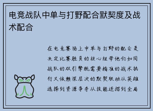 电竞战队中单与打野配合默契度及战术配合